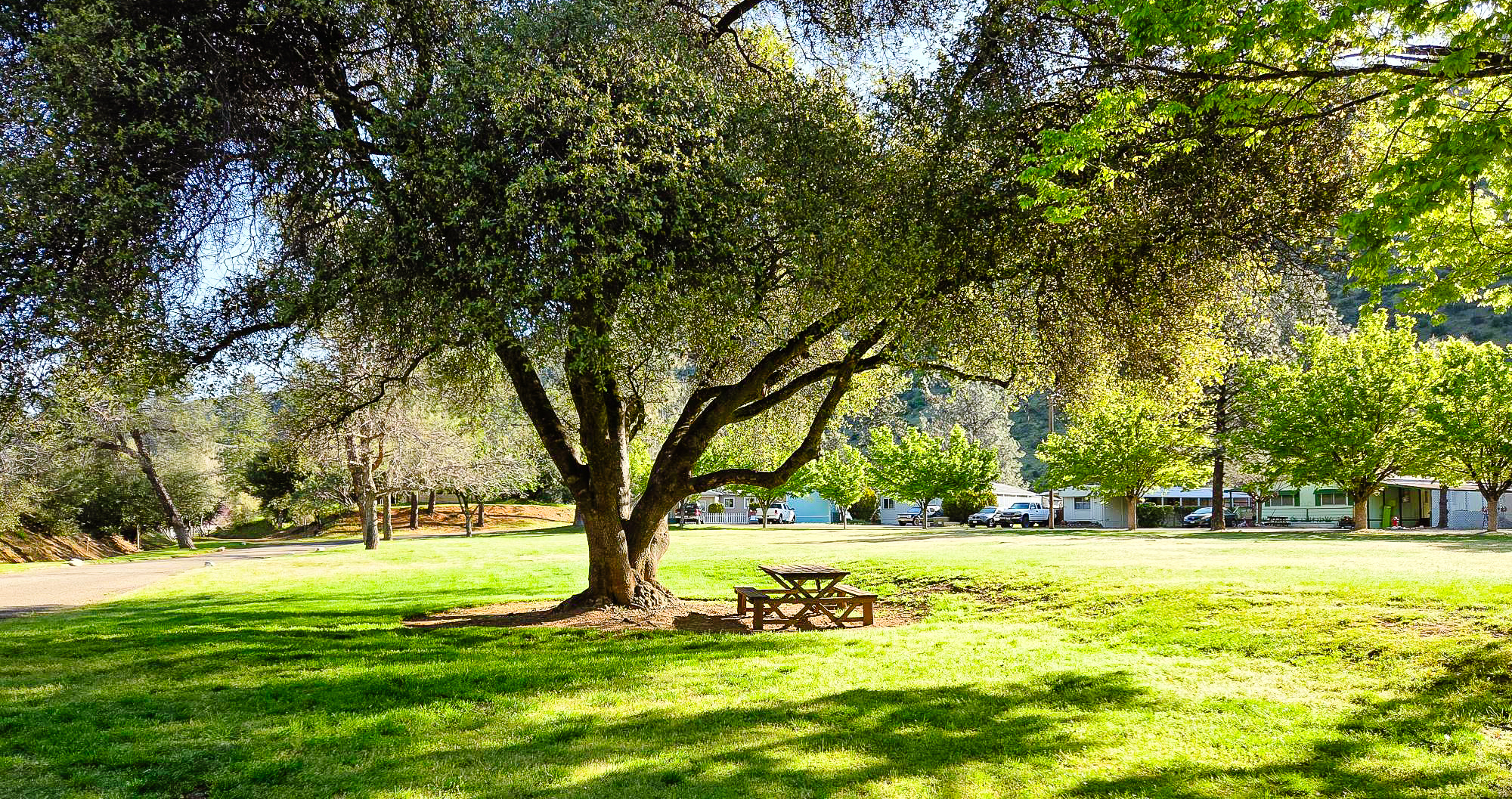 Photos of Clear Creek Estates